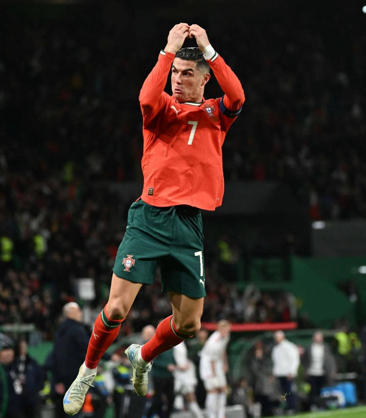 家贝蒂斯 家贝蒂斯